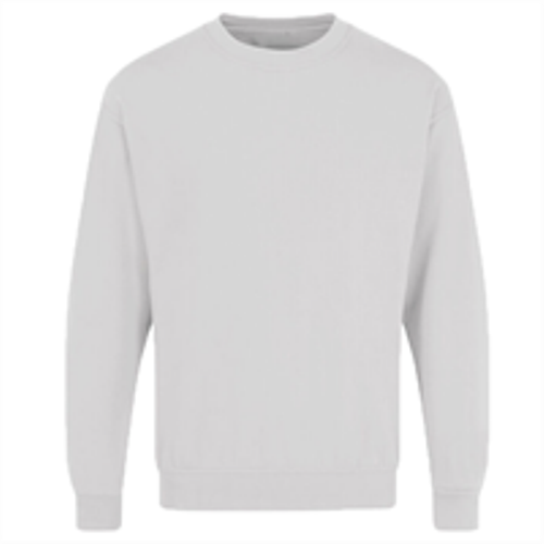 Adults Plain Sweatshirt - UCC011-4
