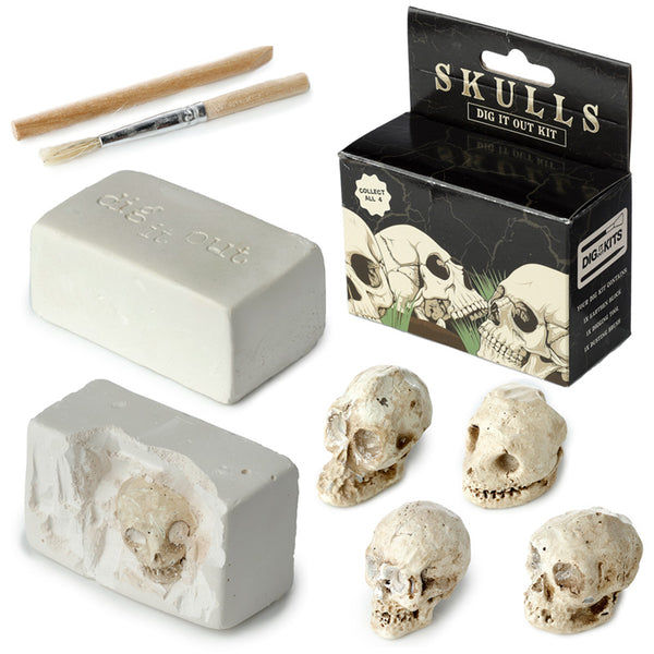 Fun Excavation Dig it Out Kit - Human Skull DIG52-0