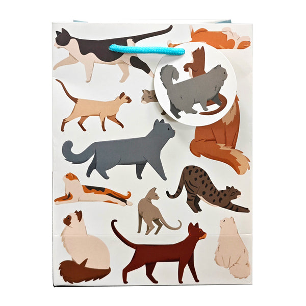 Gift Bag (Medium) - Feline Fine Cats GBAG112B-0