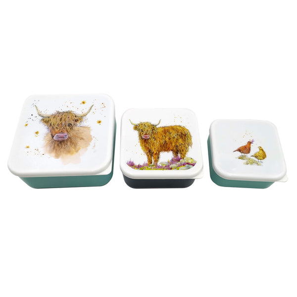 Lunch Boxes Set of 3 (M/L/XL) - Jan Pashley Highland Coo Cow LBOX93-0