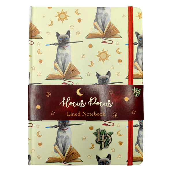 Recycled Paper A5 Lined Notebook - Lisa Parker Hocus Pocus Cat MEMO110-0