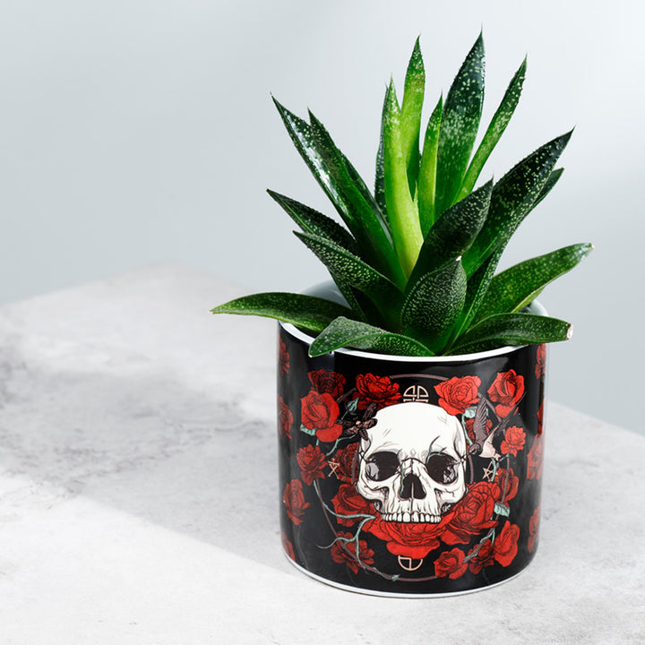 Skulls & Roses Ceramic Indoor Plant Pot - Small PLAN30-0