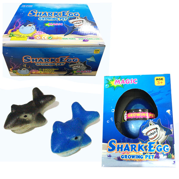 Shark Hatching Egg TY835